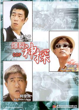 警察garyes警察