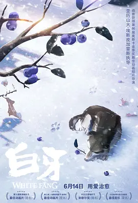 久久精品这里有