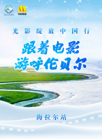 青青草视频成人