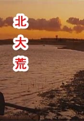性视频福利在线看