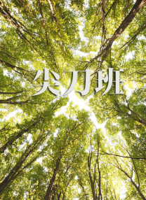 爱情也有版权