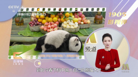 少妇达人